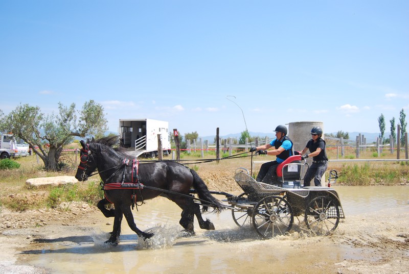 Mucho calor en La Pinturita en el Campeonato Navarro de Enganches Indoor
